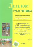 Диплом участника в областном спортивном фестивале 2013 г